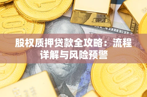 武汉股权质押贷款全攻略：流程详解与风险预警