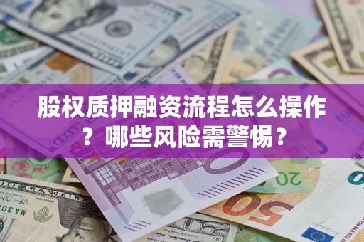 武汉股权质押融资流程怎么操作？哪些风险需警惕？