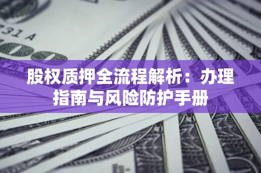 武汉股权质押全流程解析：办理指南与风险防护手册