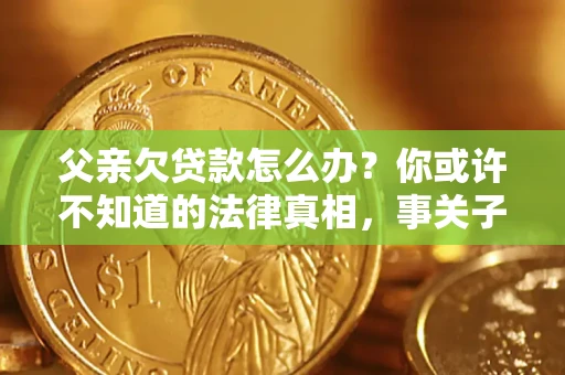 武汉父亲欠贷款怎么办？你或许不知道的法律真相，事关子女未来