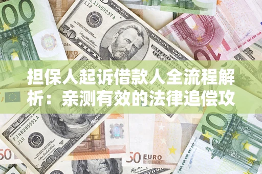武汉担保人起诉借款人全流程解析：亲测有效的法律追偿攻略