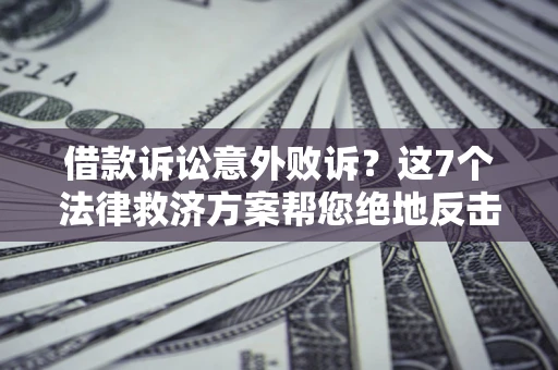 武汉借款诉讼意外败诉？这7个法律救济方案帮您绝地反击！