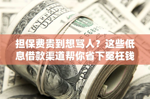 武汉担保费贵到想骂人？这些低息借款渠道帮你省下冤枉钱