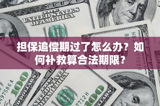 武汉担保追偿期过了怎么办？如何补救算合法期限？
