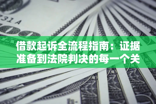 武汉借款起诉全流程指南：证据准备到法院判决的每一个关键步骤