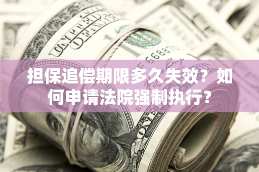 武汉担保追偿期限多久失效？如何申请法院强制执行？