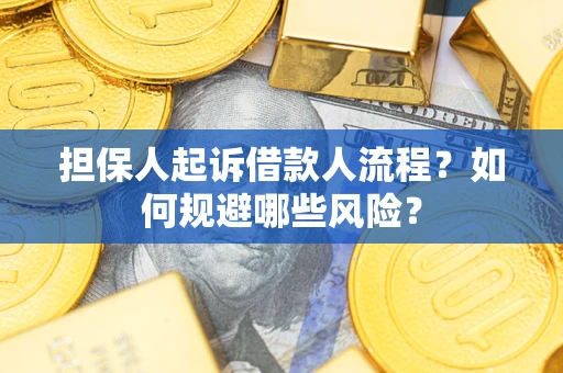 武汉担保人起诉借款人流程？如何规避哪些风险？