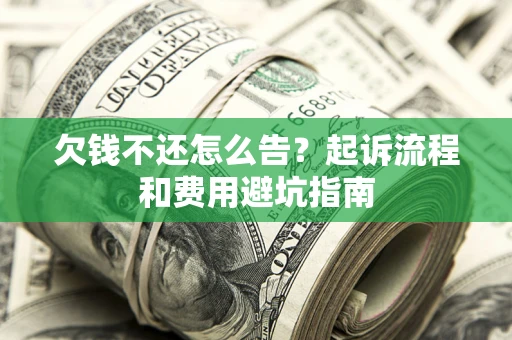 武汉欠钱不还怎么告？起诉流程和费用避坑指南