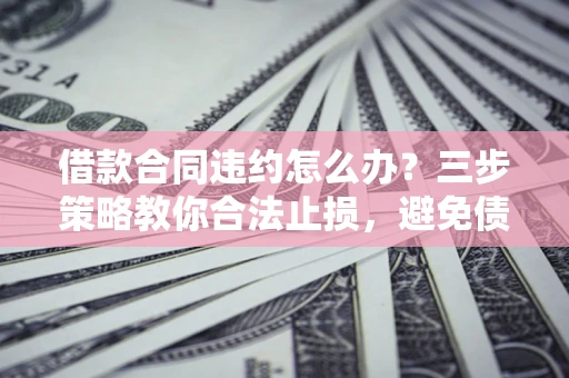 武汉借款合同违约怎么办？三步策略教你合法止损，避免债务危机升级
